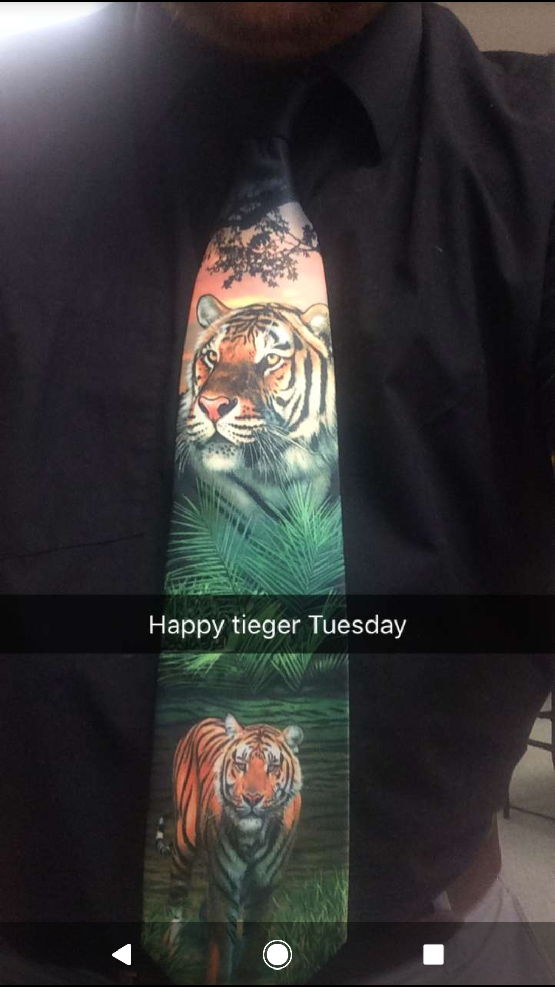 tieger tuesday